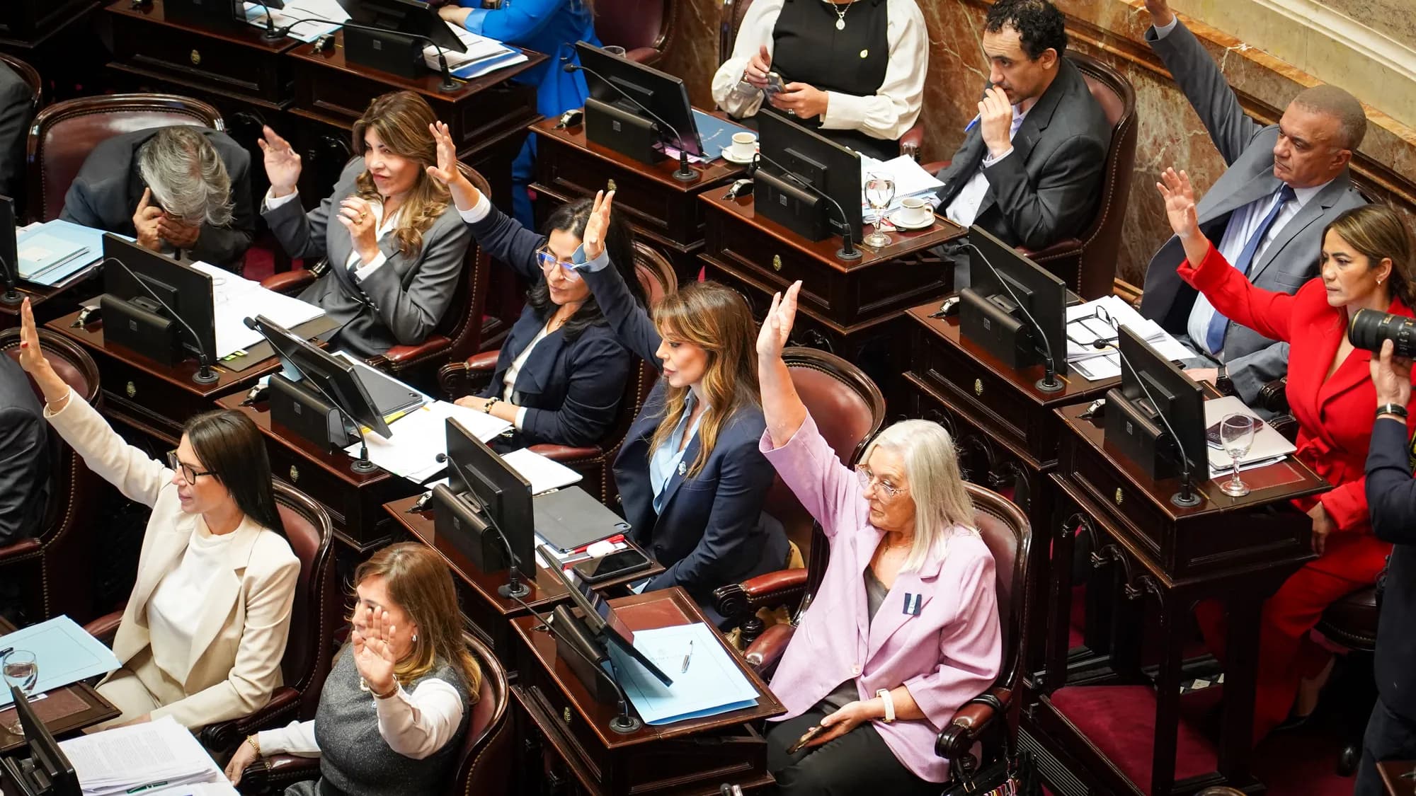 Flavia Royón durante una votación en el Senado de la Nación